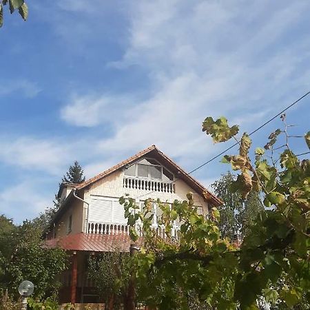 Aleksandar Vila Br Vrdnik Exterior foto